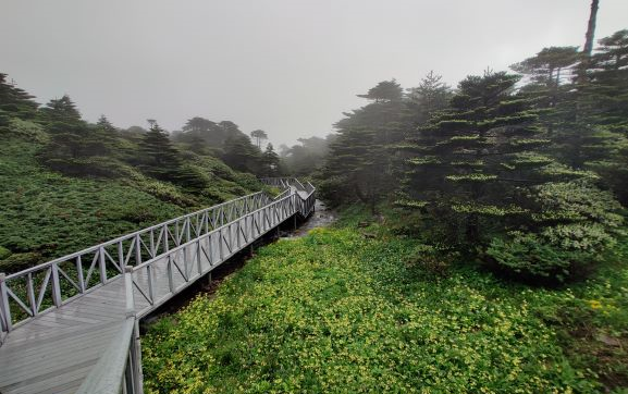 VLOG|大理苍山洗马潭,在海拔3900米上蹦跶是种什么体验.哔哩哔哩bilibili