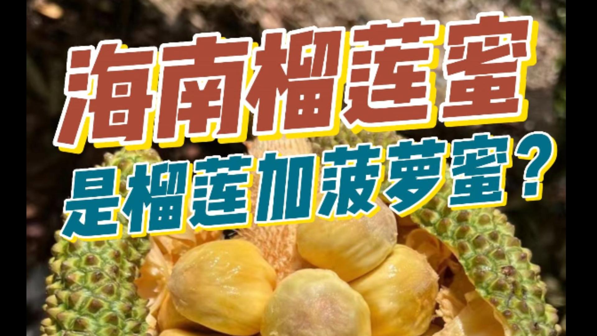榴莲蜜=榴莲 菠萝蜜?