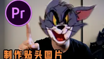 如何用PR将图片糊在人脸上