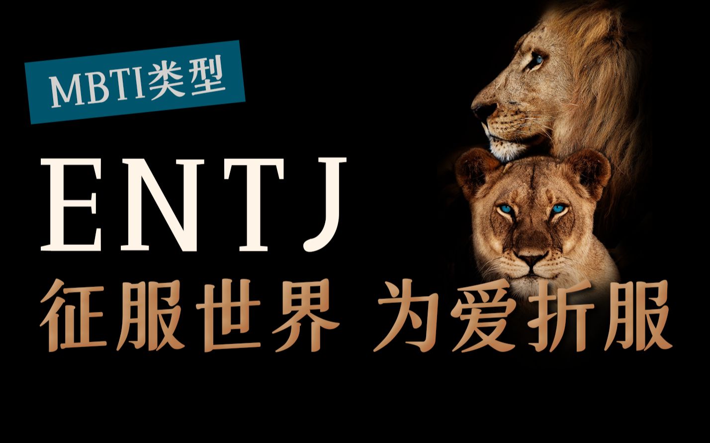 [图]【MBTI】ENTJ为什么必须拥有爱情？没有Fi的ENTJ就是ENTJ里的废柴