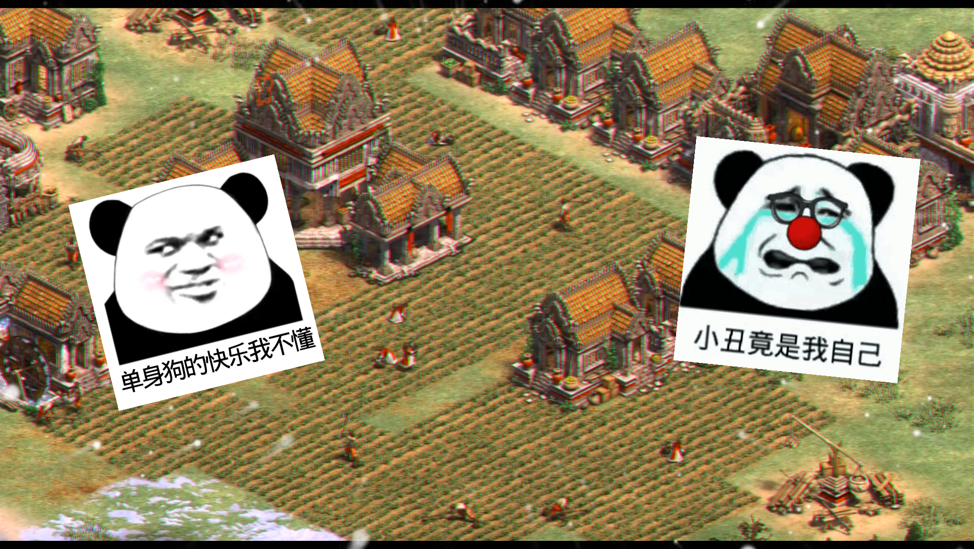 活动作品帝国时代2表情包不求人玩游戏6