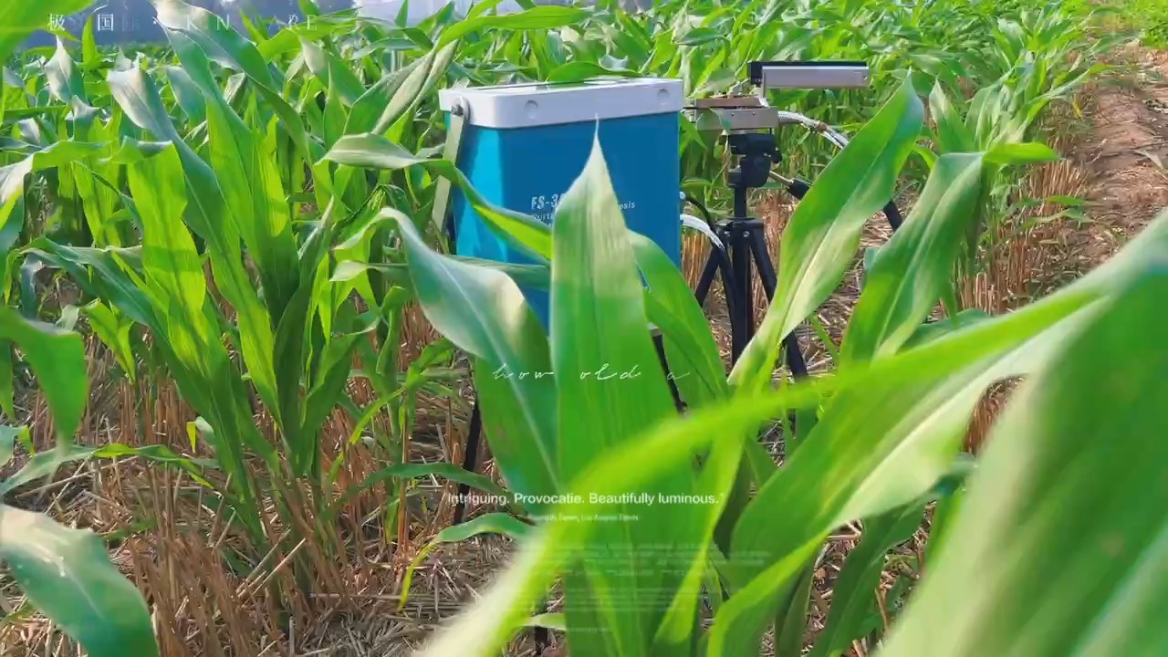 fs-3080h植物光合作用测定仪