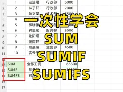 Download Video: sum、sumif、sumifs三大Excel求和函数正确用法❗