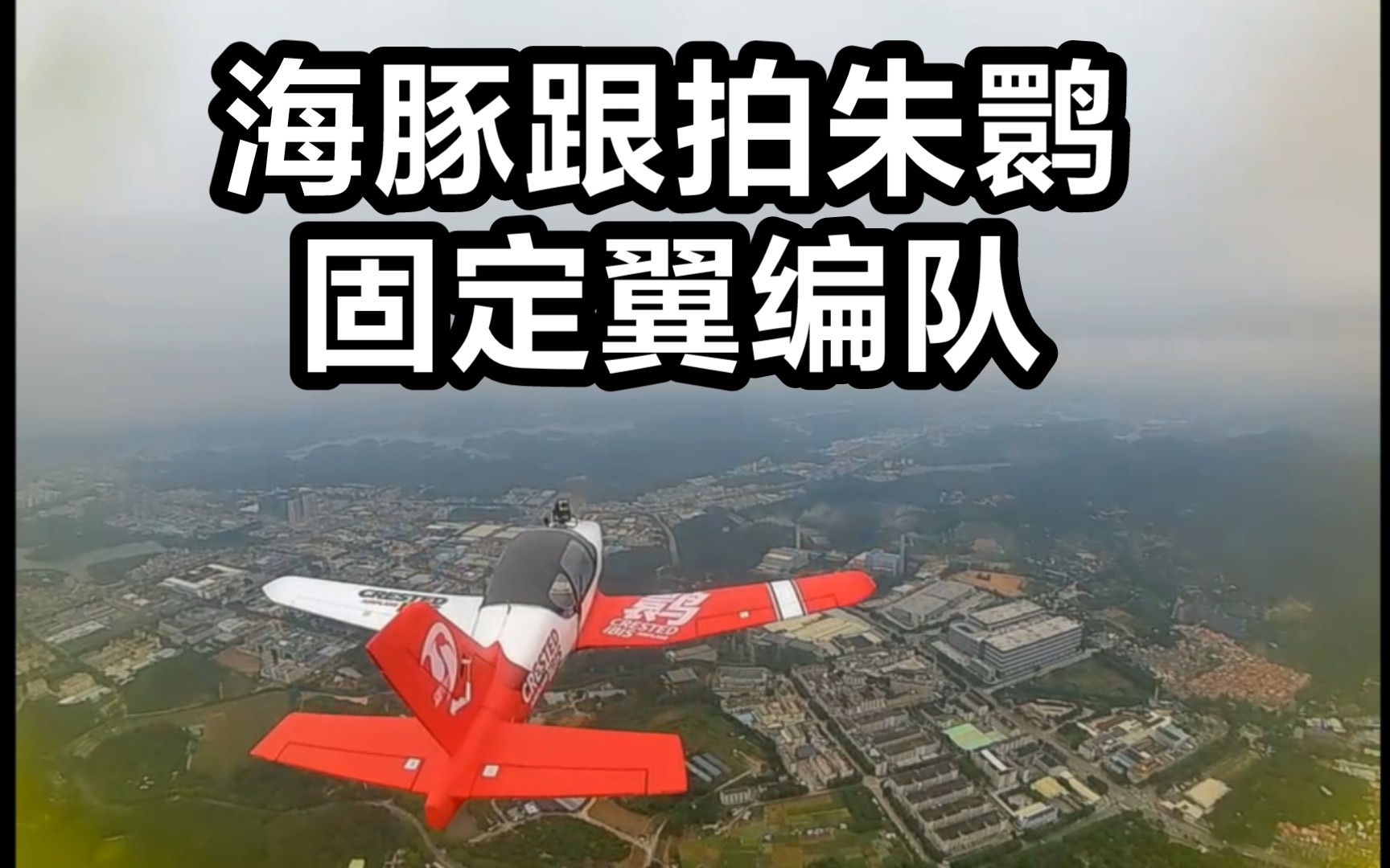 海豚跟拍朱鹮,固定翼编队