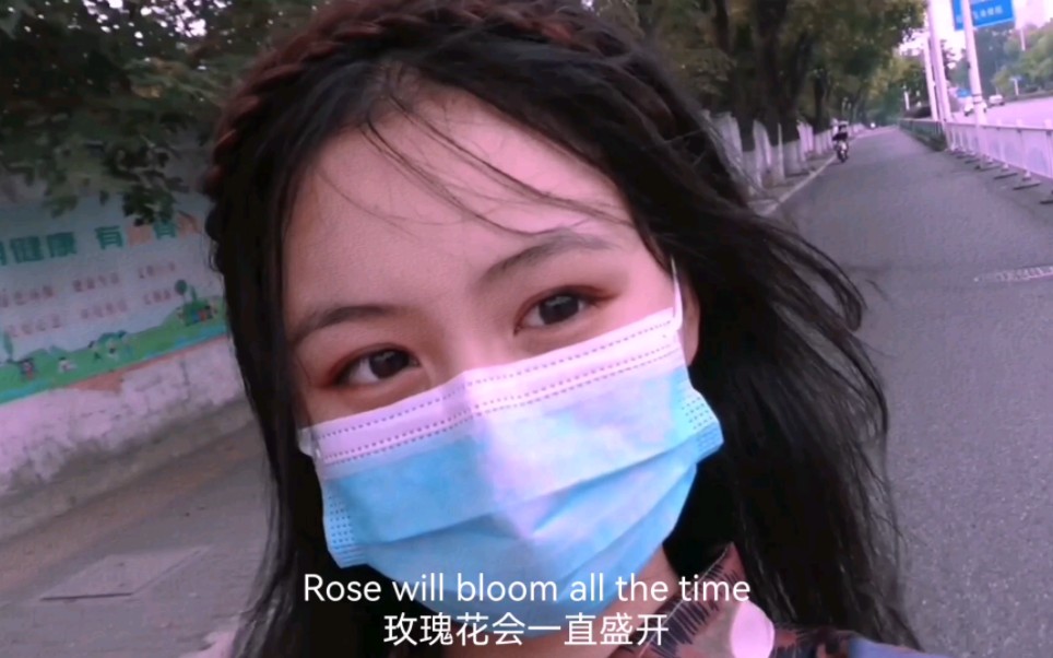 [图]Rose will bloom all the time.