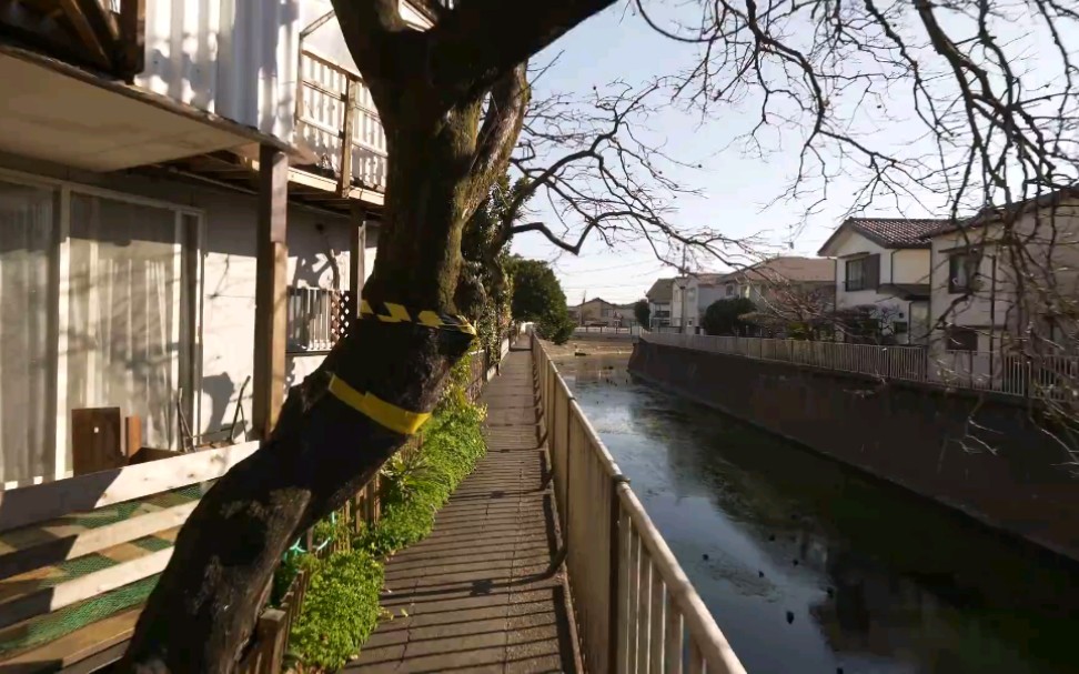 [高清城市街景]第一视角步行游览日本东京杉并区善福寺川哔哩哔哩bilibili