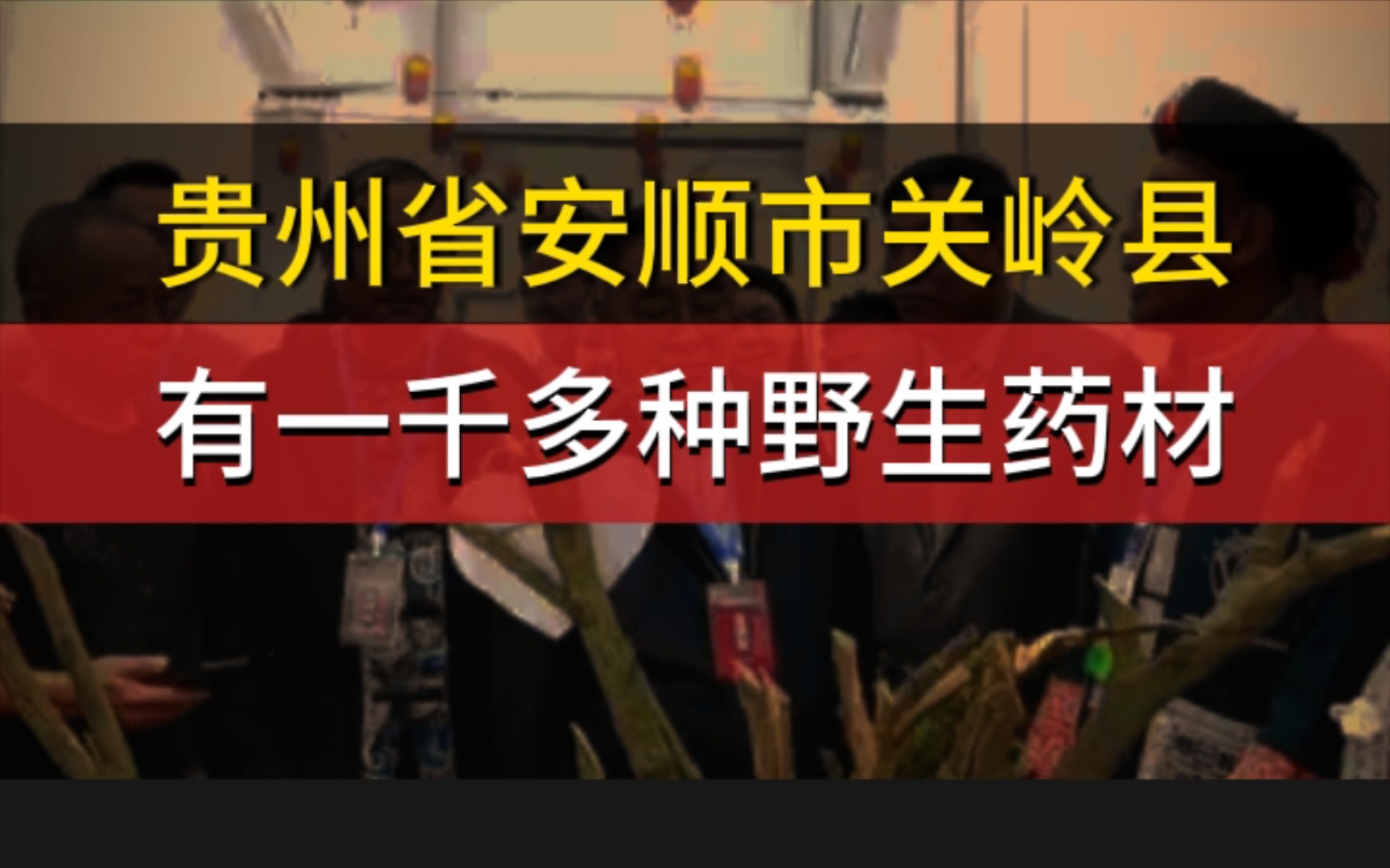 贵州省安顺市关岭县有一千多种的野生药材哔哩哔哩bilibili