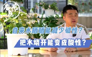 Download Video: 自来水晒晒能减少碱性？把水烧开能变成酸性？花友们都在想什么？