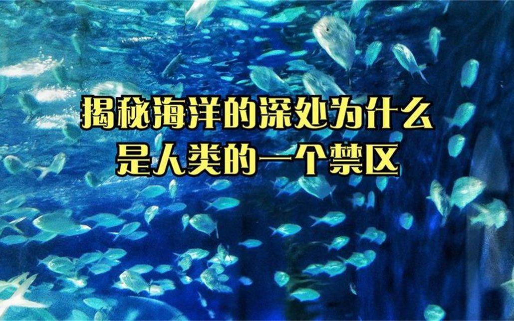 [图]揭秘海洋的深处为什么是人类的一个禁区