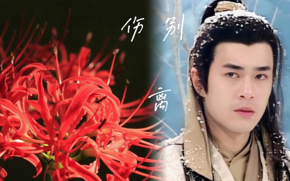 古天乐|杨过||被虐的瞬间|伤别离