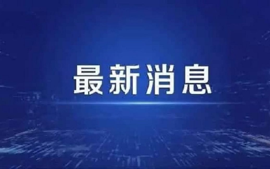 牛板金:清退进行中哔哩哔哩bilibili