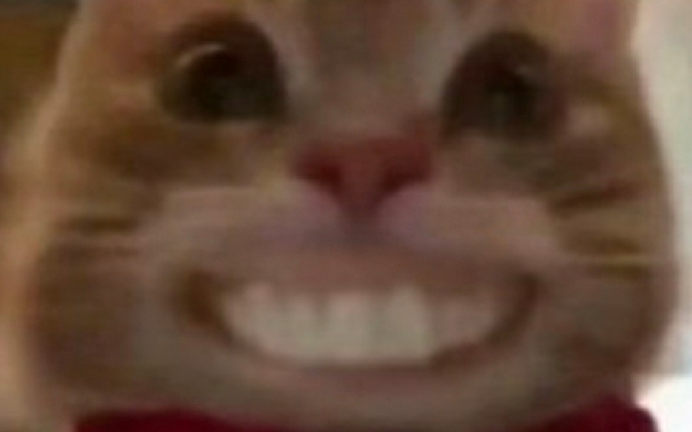 歪嘴小猫与暴龙战士