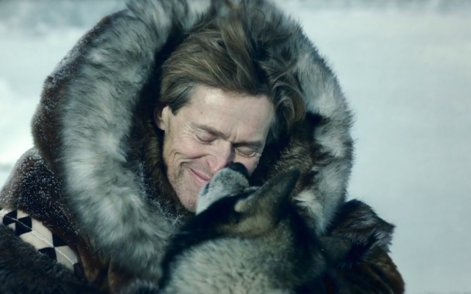 一段视频告诉你《多哥》的热血