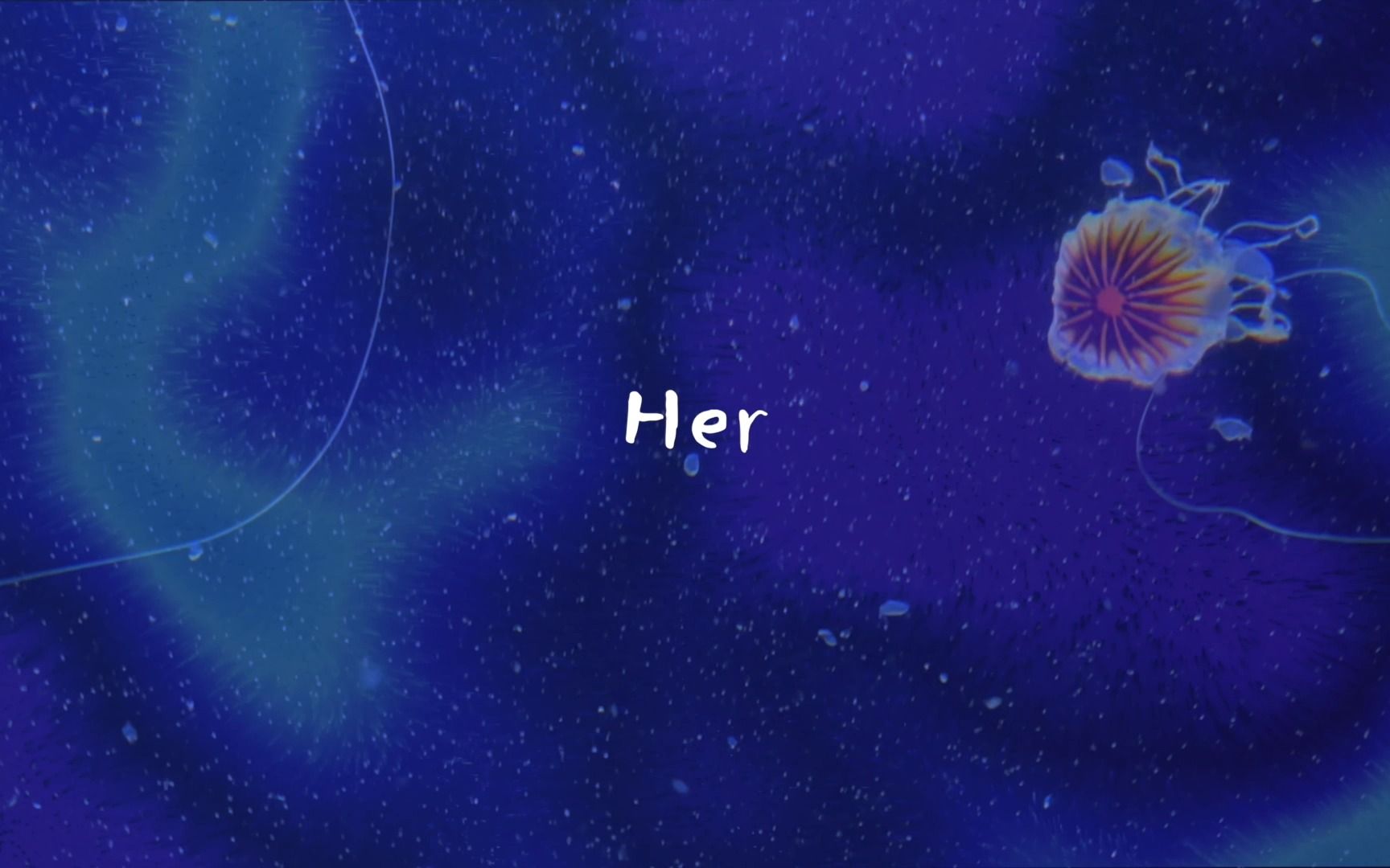 会找到她的 - her