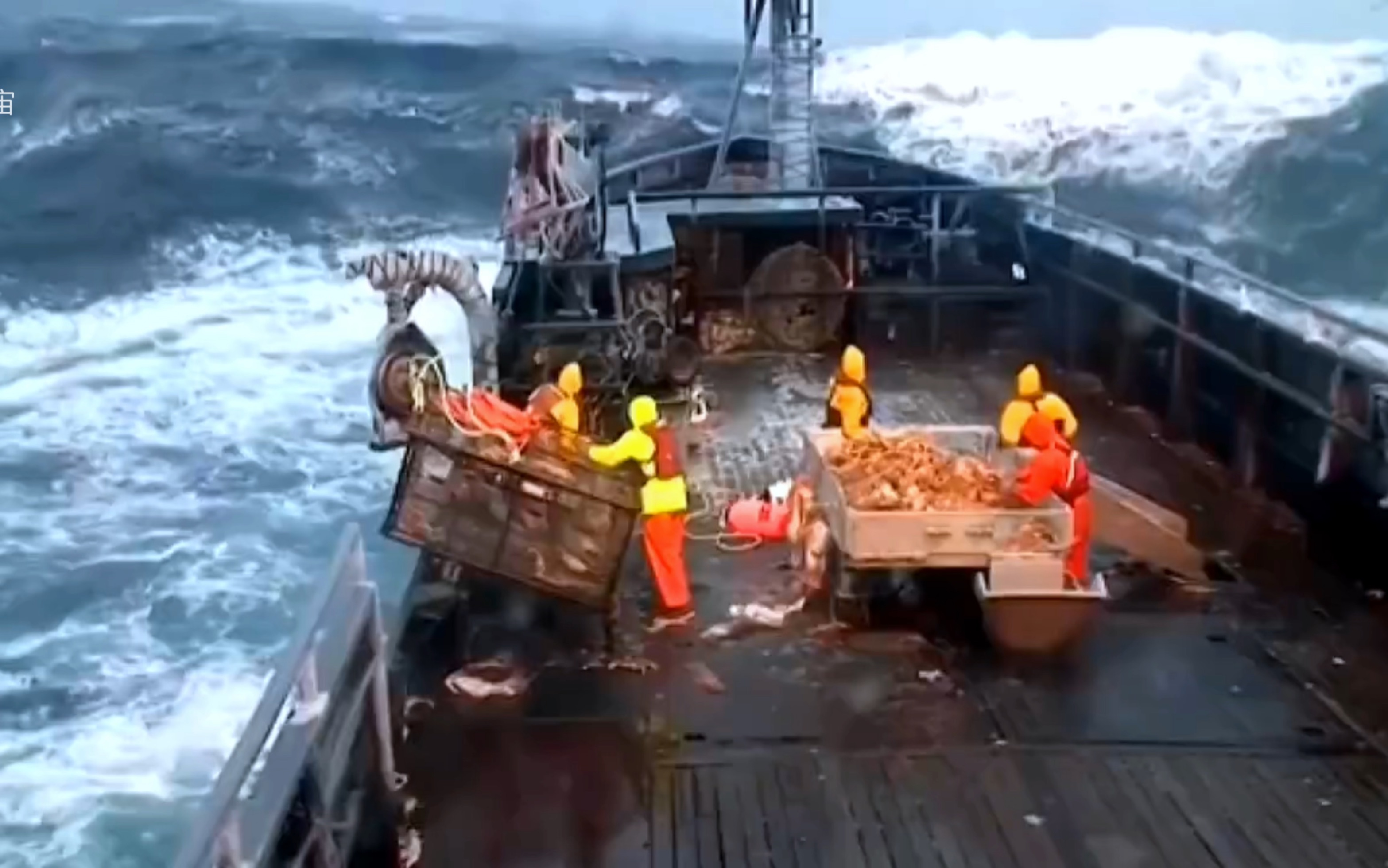 原来帝王蟹是这样捕捞的,你意外到了没有?