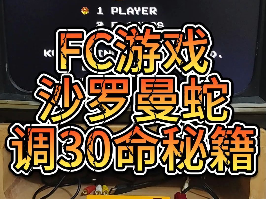 沙罗曼蛇调30命秘籍