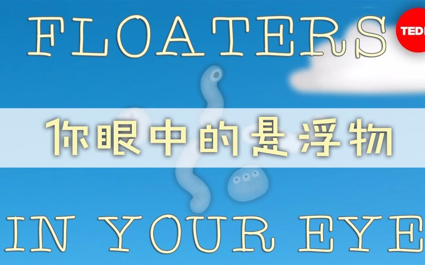 【果仁冷科普】手机瘾患者点!!!什么是飞蚊症@果仁字幕组哔哩哔哩bilibili