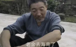 Tải video: 老甘解释老金并没有去海南，其实他几年前就不在了！