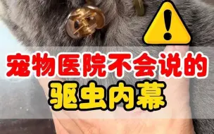 下载视频: 可怕！宠物医院不让说的猫咪驱虫内幕