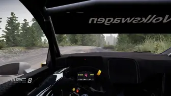 Download Video: WRC8大众Polo R芬兰站车载视角贴地飞行纵享丝滑