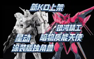 Download Video: 新KO上架！星动 HG涂装版独角兽 & 银河精工 HG 暗物质能天使 & 星锋社 HG 温达姆