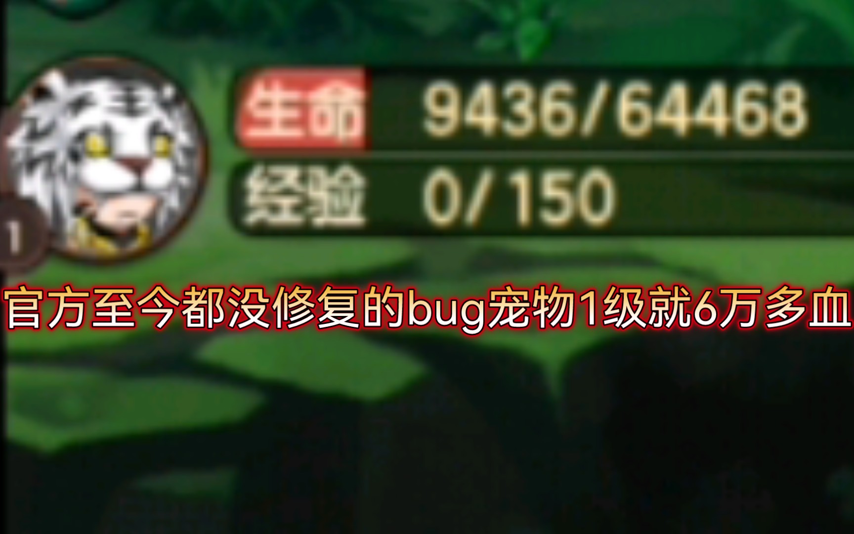 【造梦无双】官方开服到现在没修复的bug!网络游戏热门视频