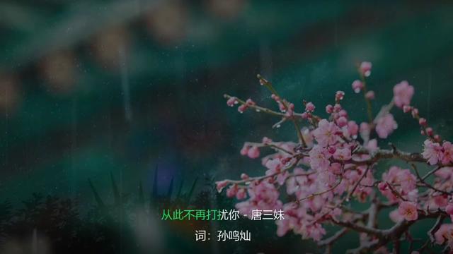 [图]《从此不再打扰你》唐三妹&云南阿奎演唱    @云南阿奎（老婆唐三妹）