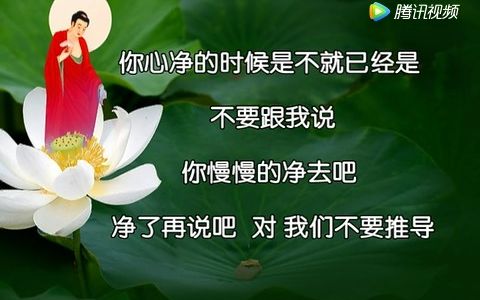 慈法法师般舟问答哔哩哔哩bilibili