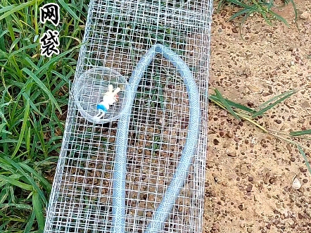 户外用品高强度尼龙网