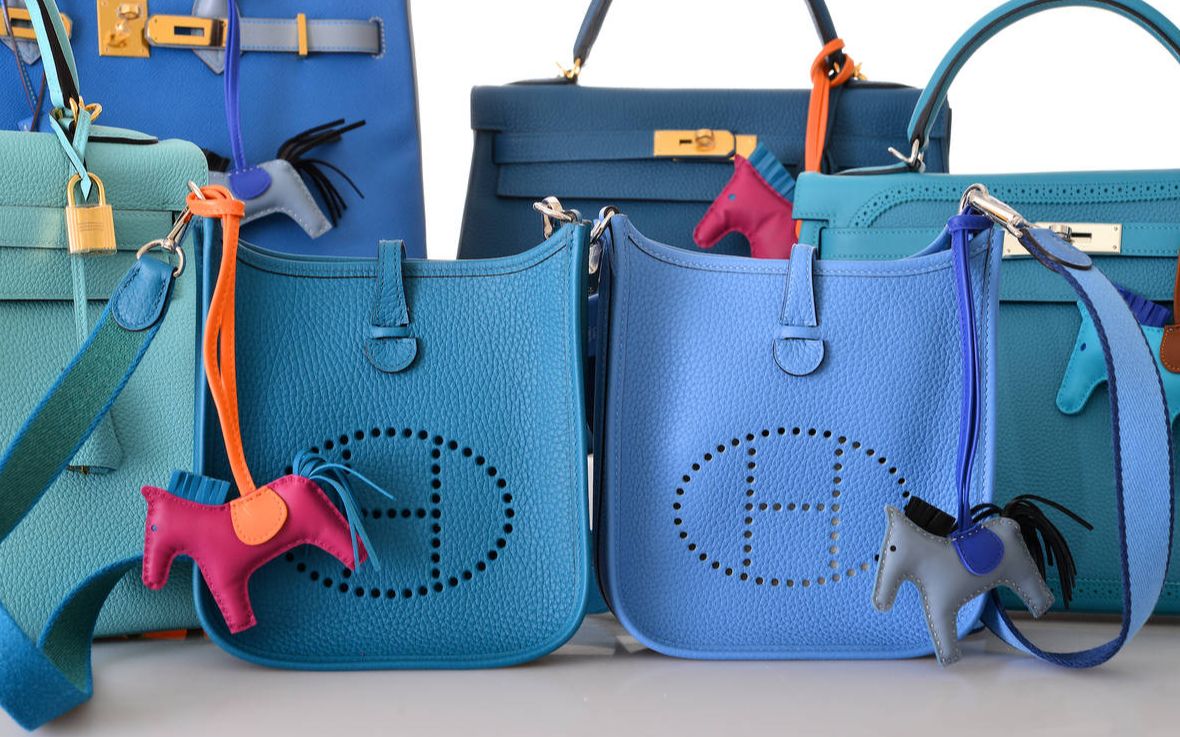 mini evelyne大测评!|二手奢侈品