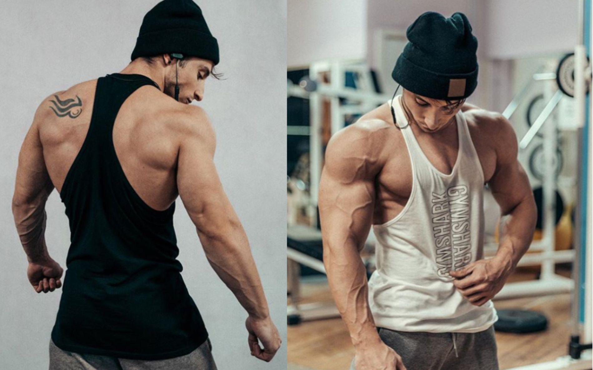 安德里亚拉罗萨 | 2019训练励志