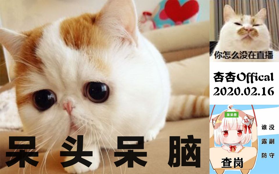 呆头呆脑第86期神社杯高强度解说20200216