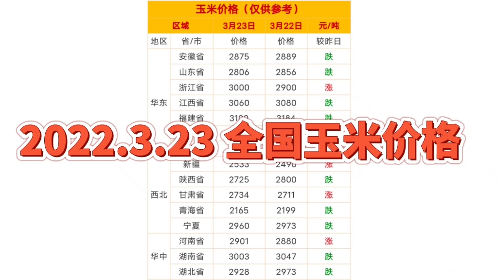 2022.3.23 今日最新全国玉米价格 玉米市场行情价格表哔哩哔哩bilibili