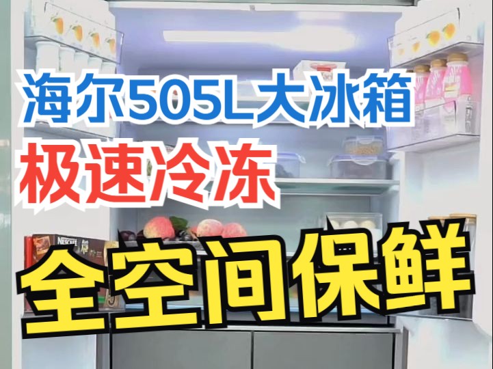 ✨海尔505L大冰箱 极速冷冻 全空间保鲜 在家就可以拥有的生活超市哔哩哔哩bilibili