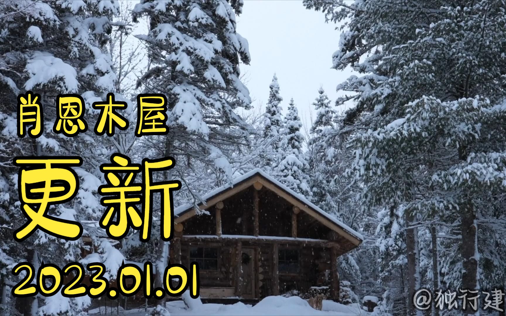 肖恩木屋更新2023.01.01 独自在荒野中建造离网小木屋,从头到尾哔哩哔哩bilibili