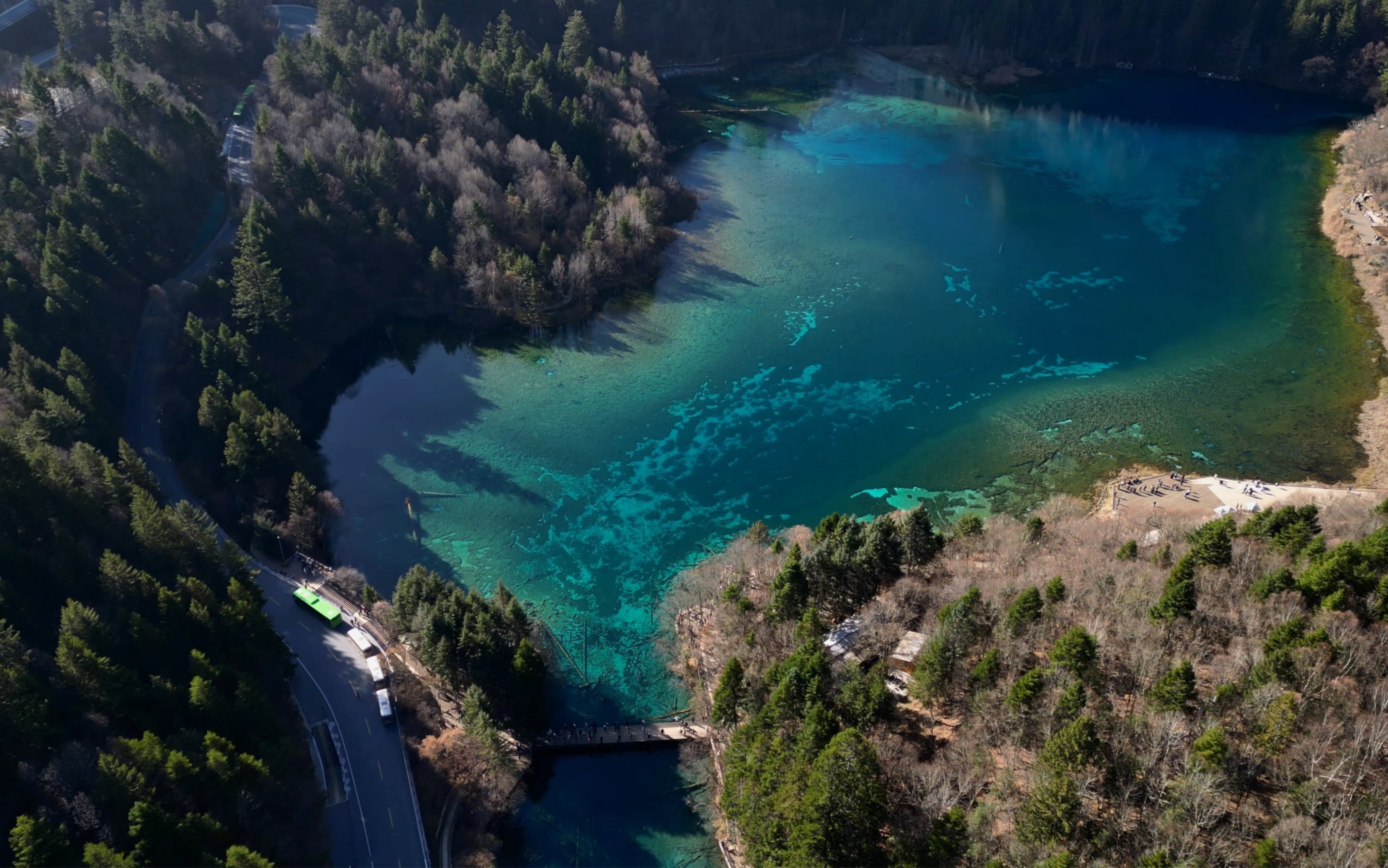 一次说走就走的旅行(三):记录从箭竹海到诺日朗瀑布的九寨风景