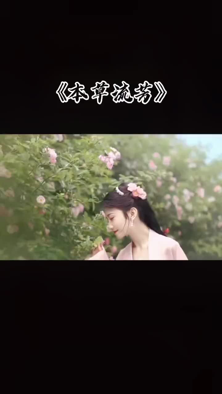 本草流芳一首中医药的歌哔哩哔哩bilibili