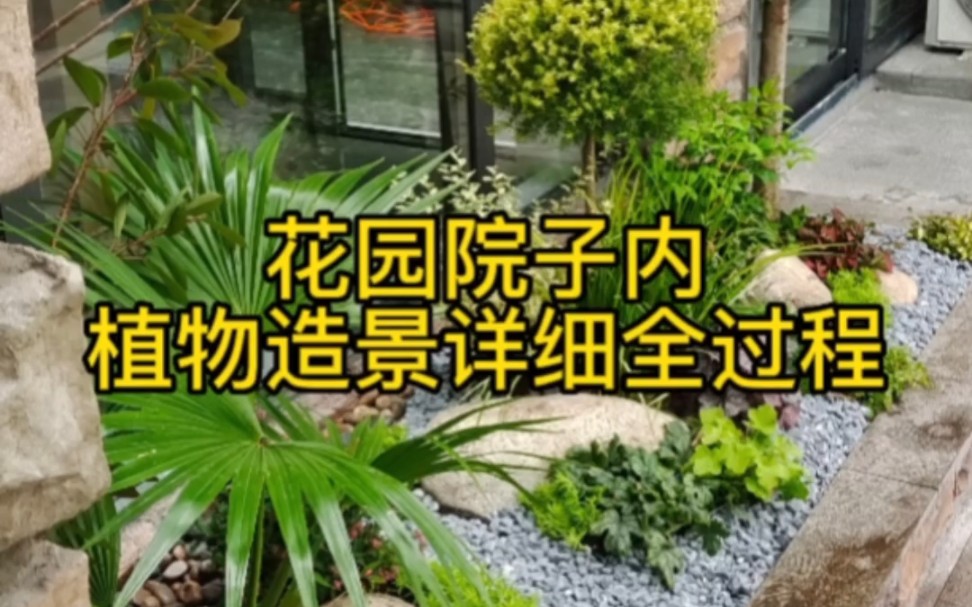 院子花槽改造植物造景哔哩哔哩bilibili