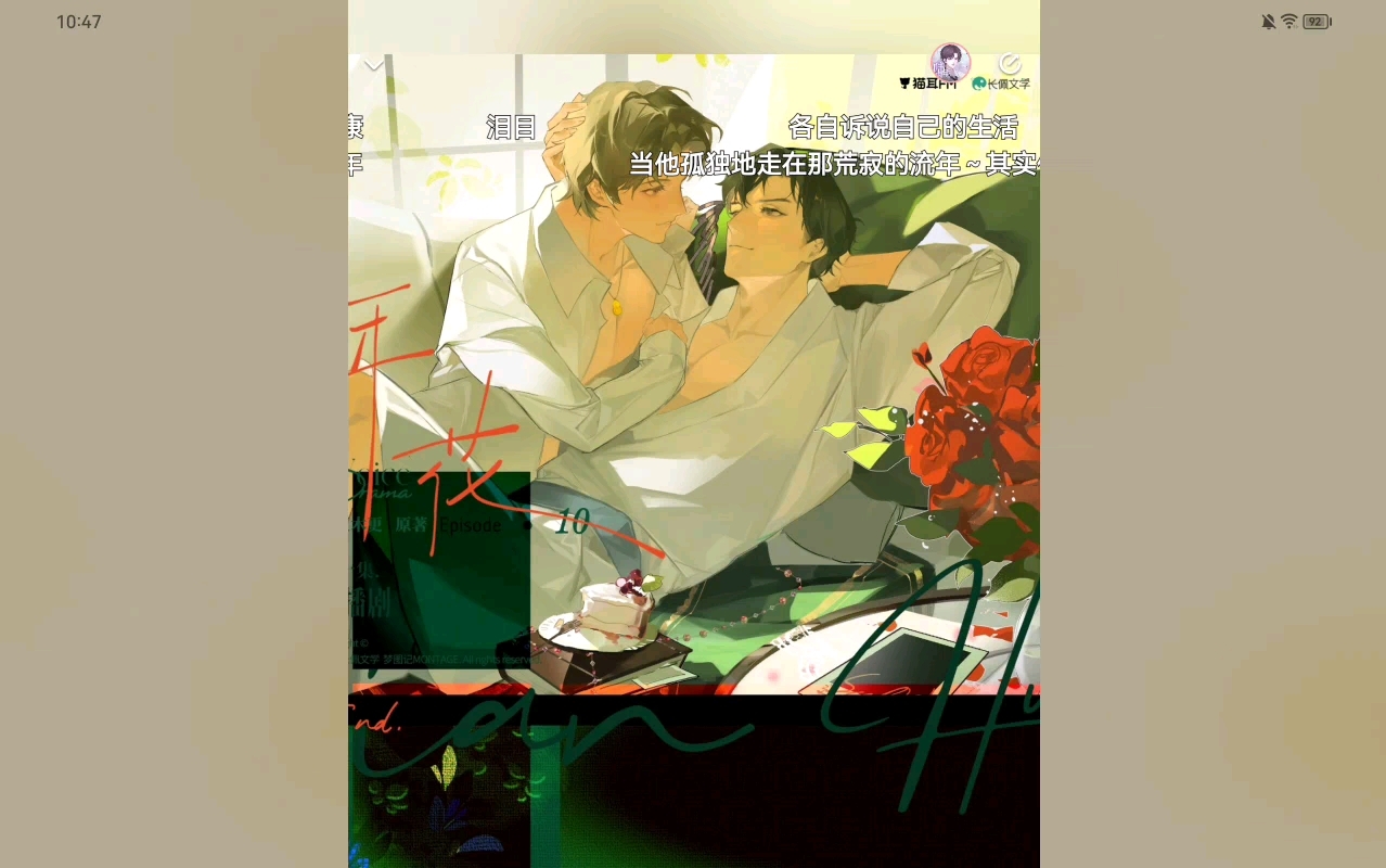 【年花】夏一洋*沈落 成我圆满