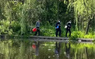 下载视频: 电鱼佬的覆灭