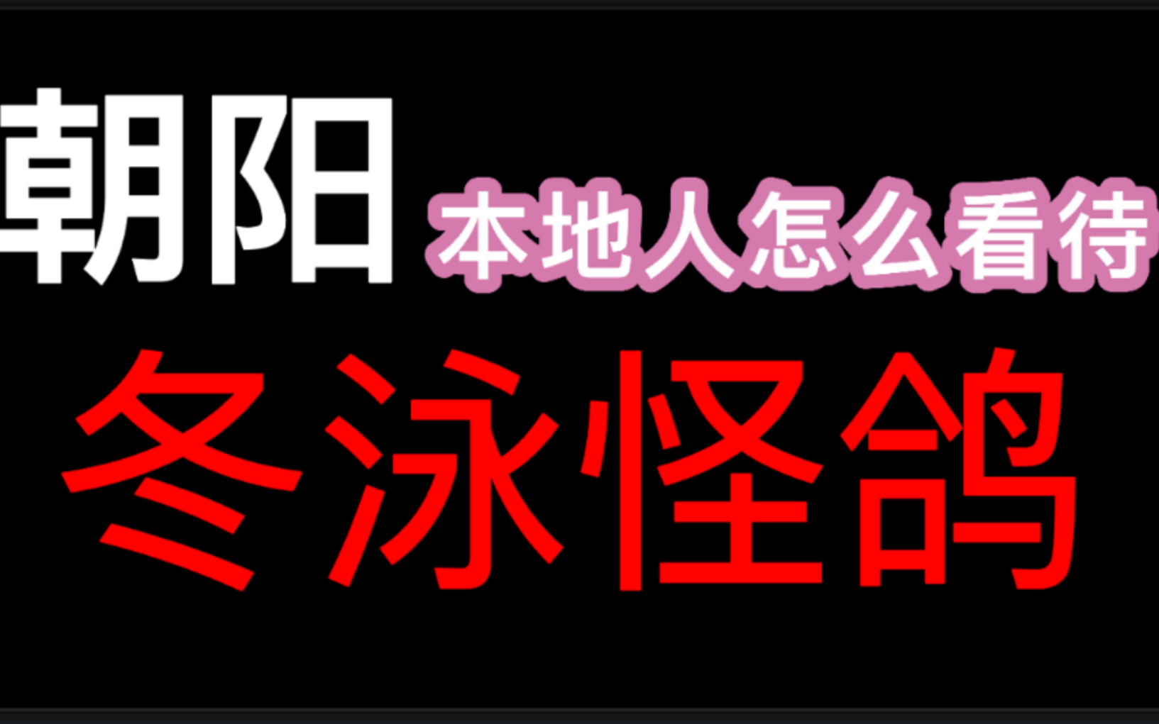 [图]殴打学生？直播卖惨？朝阳本地人怎么看待冬泳怪鸽！