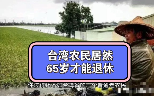 台湾农民满65岁才能退休,台湾是中国不可分割的领土,支持祖国统一.哔哩哔哩bilibili