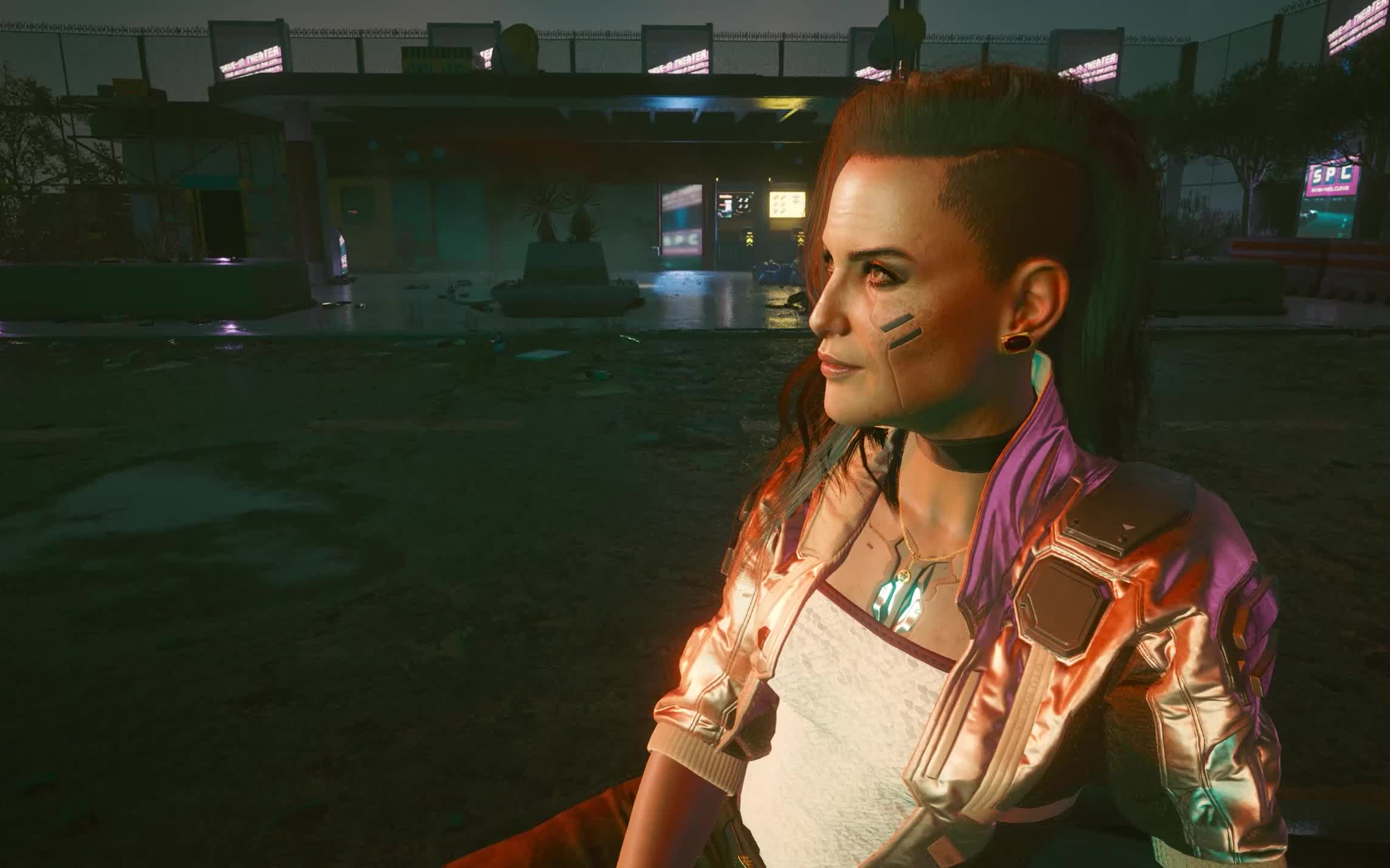 插管 帮强尼扫墓