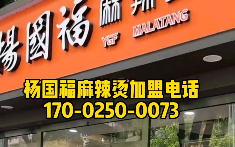 在山东开一家杨国福麻辣烫需要多少钱?杨国福麻辣烫加盟电话17002500073哔哩哔哩bilibili