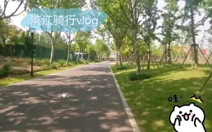 Download Video: 树荫下的绿道骑行，好凉爽