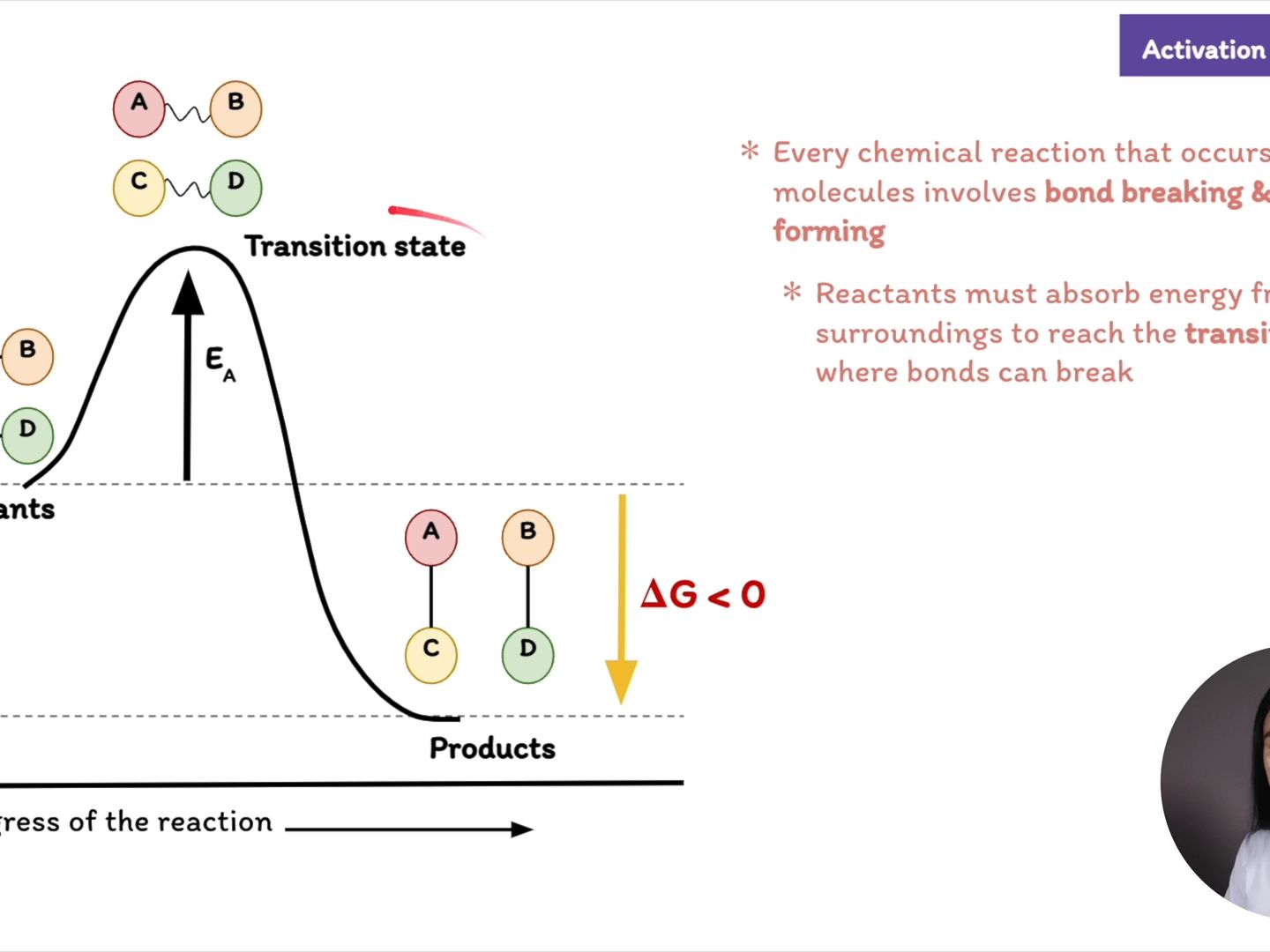 enzymes_ function & regulation 酶:功能与调节