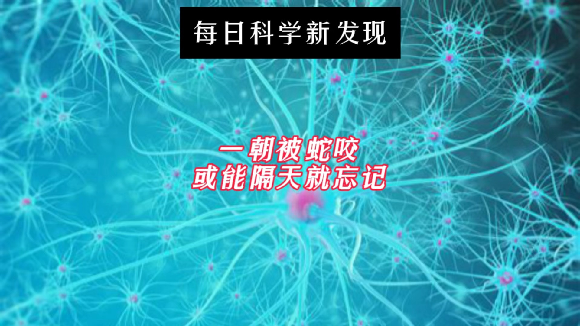 【每日科学新发现】一朝被蛇咬或能隔天就忘记!科学家可阻止大脑长期恐惧记忆形成哔哩哔哩bilibili