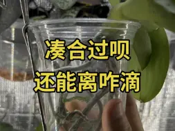 下载视频: 每月一劝（班主任模式）