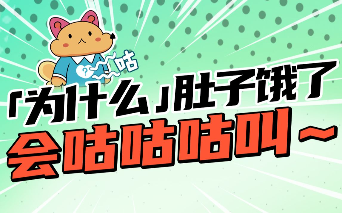 今日好奇:为什么肚子饿了会咕咕叫?哔哩哔哩bilibili