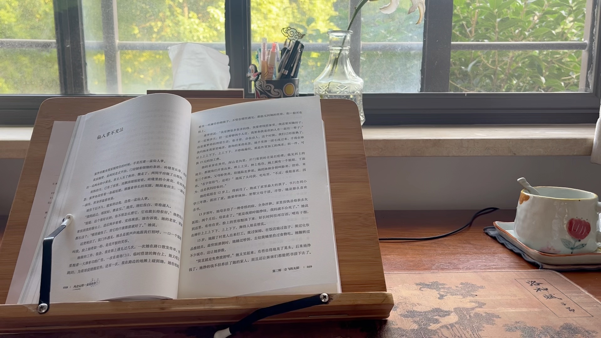 书页被风吹动,像一只只小虫子在翻动